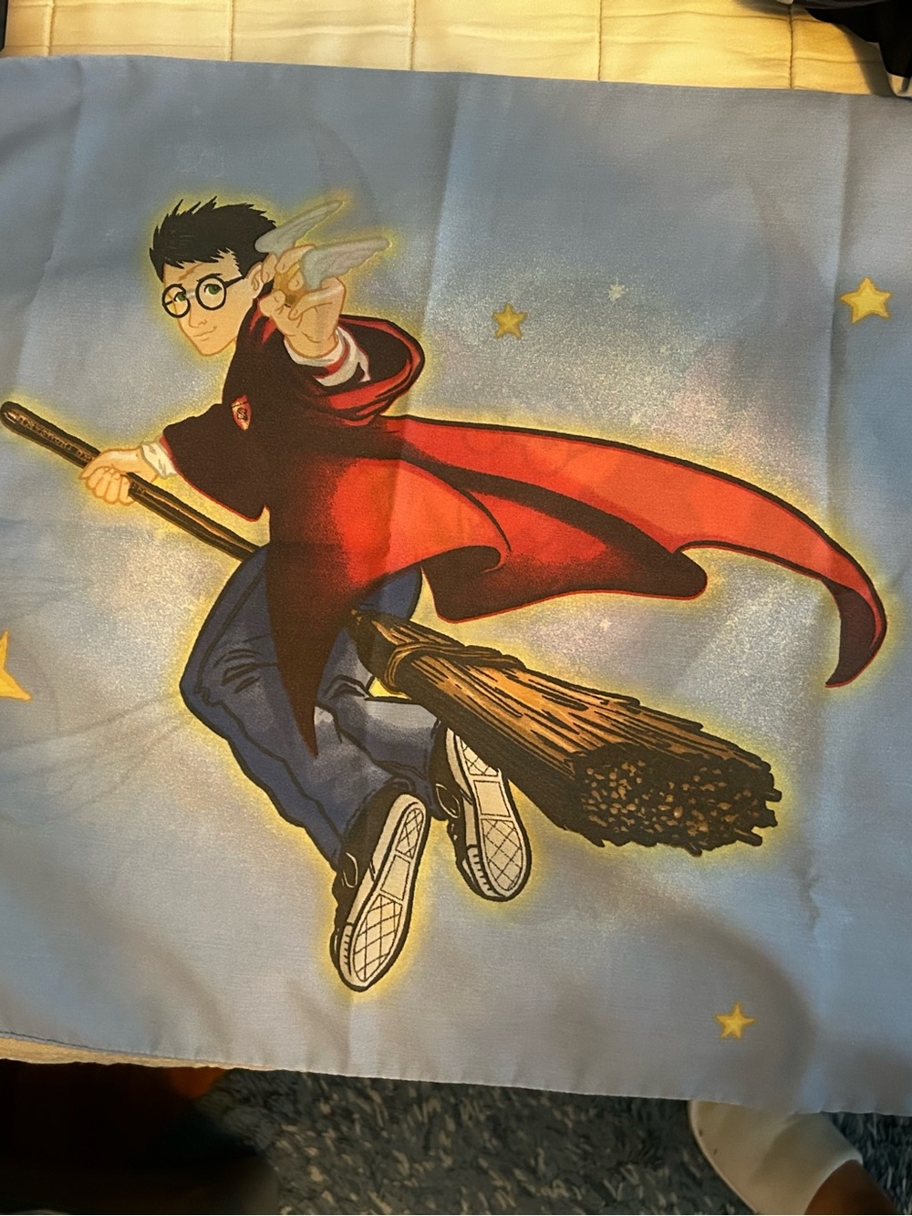 Harry Potter Pillowcase - pair of 2